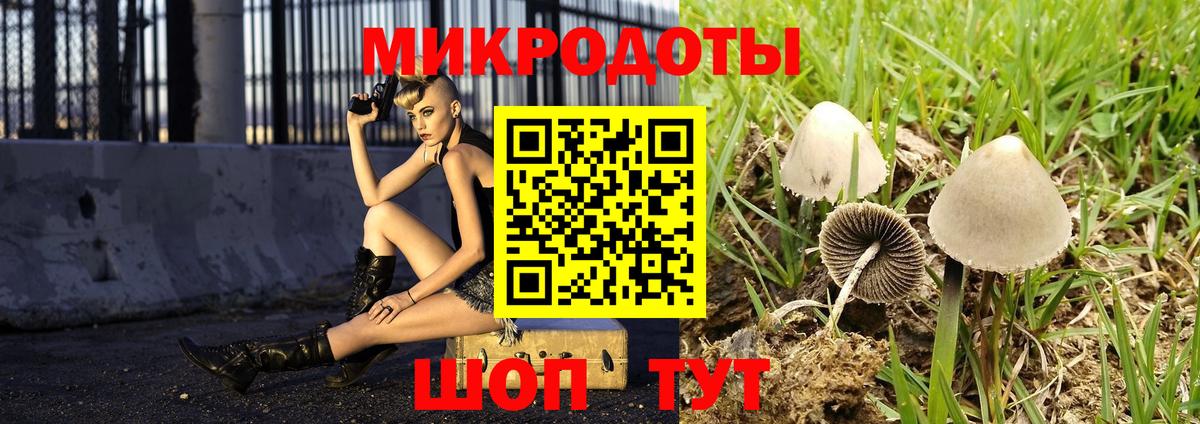Сосновоборск  Псилоцибиновые грибы GOLDEN TEACHER  Вход с VPN 